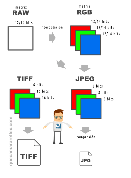 RAW vs JPEG bits