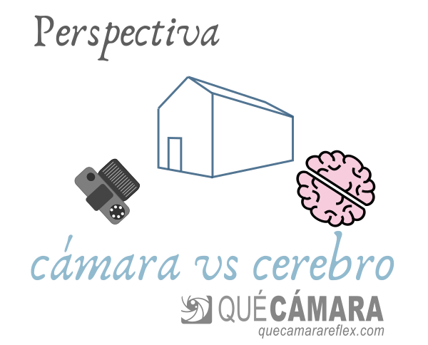 Percepción visual: cámara vs cerebro